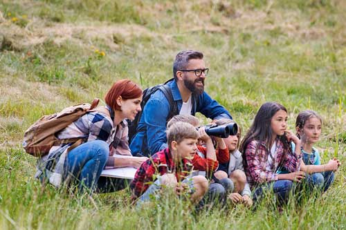 Photo for the article Forest Pedagogy