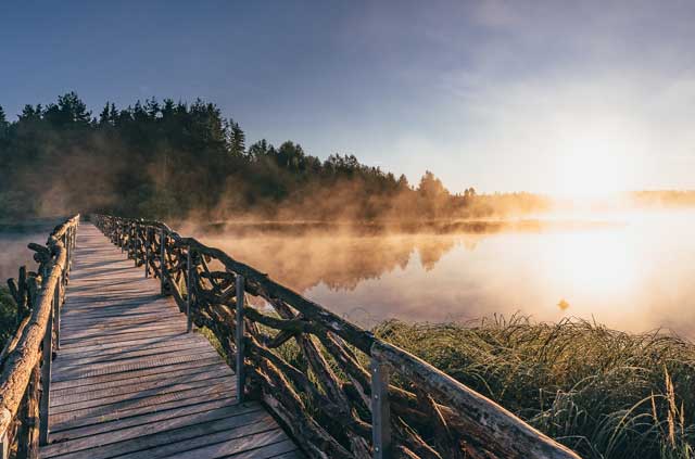 Foto k článku Olšina Nature Trail