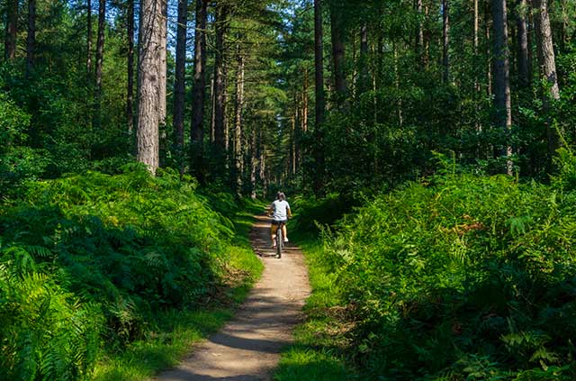 Foto k článku Wanderrouten