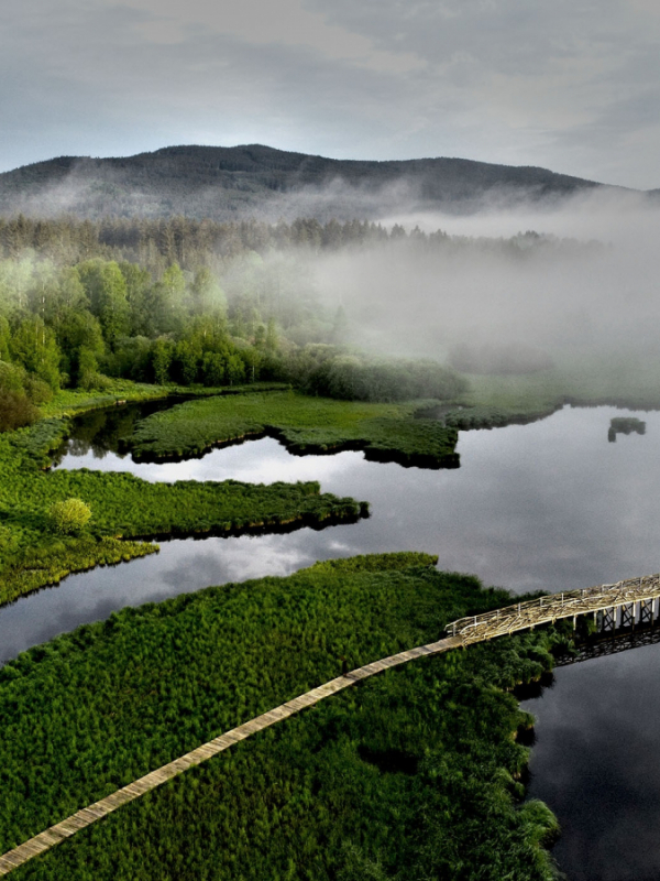 Photo for the article Surroundings of the resort