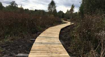 Foto k článku Erweiterung des Olšina Nature Trail