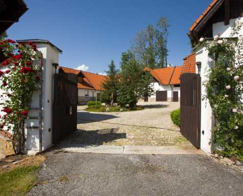 Miniatura Hunting lodge