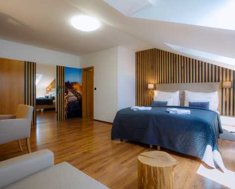 Miniatura Hotel Michala