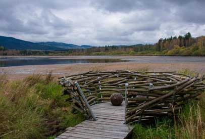 Šumava nature