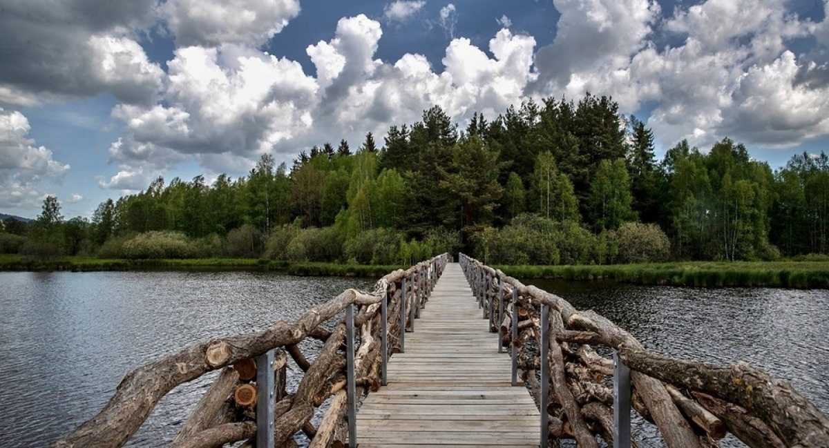 Foto k článku Erweiterung des Olšina Nature Trail