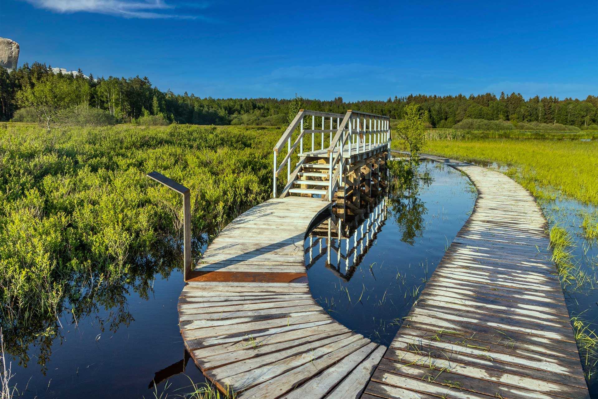 Olšina Nature Trail