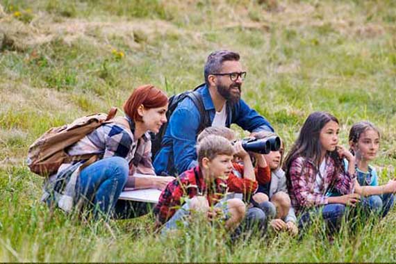 Forest pedagogy