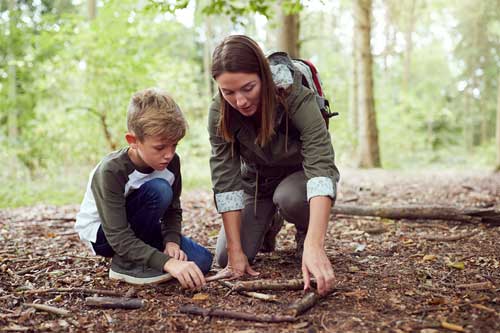 Photo for the article Forest Pedagogy